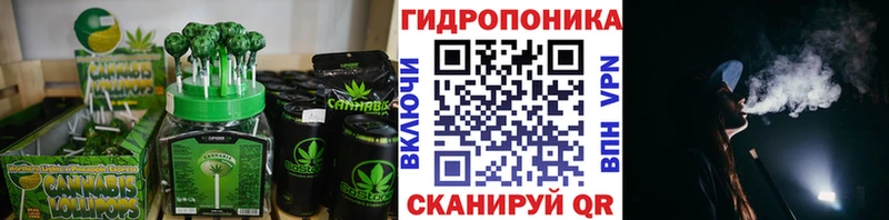 блэк спрут зеркало  Верея  Canna-Cookies конопля 
