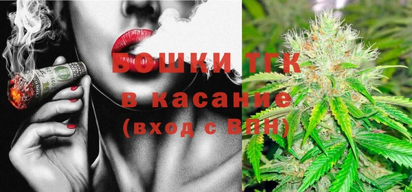 PSILOCYBIN Инта