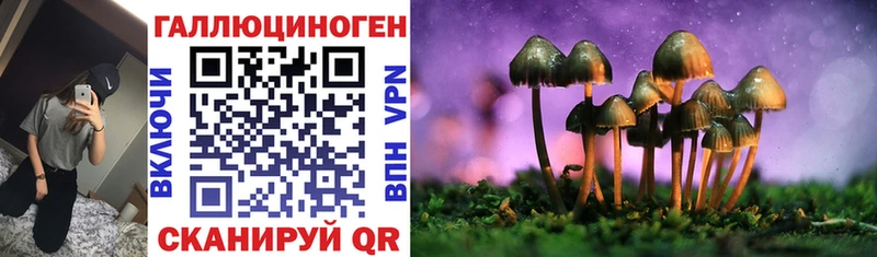 ОМГ ОМГ онион Верея Псилоцибиновые грибы мицелий как найти наркотики